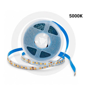 Tira LED 24V DC - 18W/m - Monocolor - 10mm - IP20 - Rollo 5 metros - 120ch/m (16)
