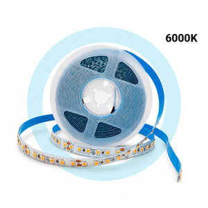 Tira LED 24V DC - 18W/m - Monocolor - 10mm - IP20 - Rollo 5 metros - 120ch/m (28)