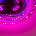 Ruban LED 24V DC spécial boucherie - 18W/m - IP20 - Rouleau de 5 mètres - 120 LED/m 4