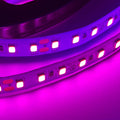 Ruban LED 24V DC spécial boucherie - 18W/m - IP20 - Rouleau de 5 mètres - 120 LED/m 3