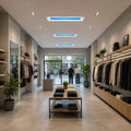 Skylight
