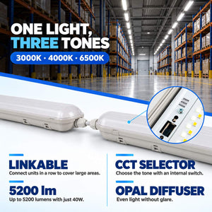 Pantalla estanca LED lineal enlazable Regulable DALI - CCT - 120cm - 40W - DALI - Driver LIFUD - IP65 (2)