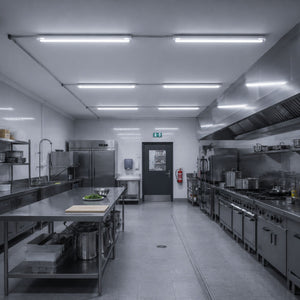 Pantalla estanca LED enlazable - 40W - 120cm - IP65 (23)