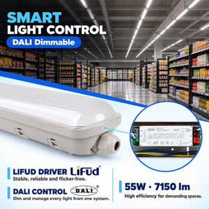 Pantalla estanca LED lineal enlazable- Regulable DALI - CCT - 150cm - 55W - Driver LIFUD - IP65 (2)