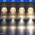 LED-Hallenstrahler CCT - kommerziell - (25W / 40W / 60W / 80W) - Polycarbonat Diffusor - UGR19 - Treiber Lifud 4