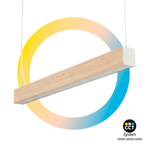 Lámpara lineal LED DOB CCT - 40W - 120cm - 120lm/W - PVC - Suspensión (11)