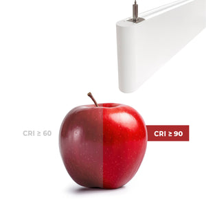 Luminaria lineal LED CCT - Bidireccional - Suspensión - Potencia ajustable 20W/30W/40W - 120cm - UGR 17 (15)