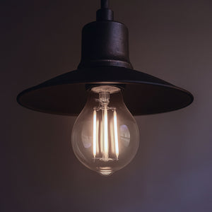 Bombilla LED filamento E27 A60 - 5W - Transparente (7)