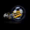 LED filament bulb E27 A60 - 5W - Transparent 5