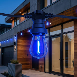 Bombilla LED Filamento - S14 E27 - 1W - Cristal de colores (12)