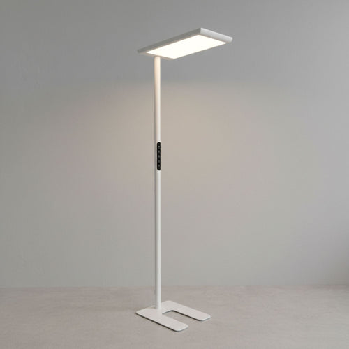 Office Floor Lamp - 50W + 50W + 4W - 4000K - Low UGR