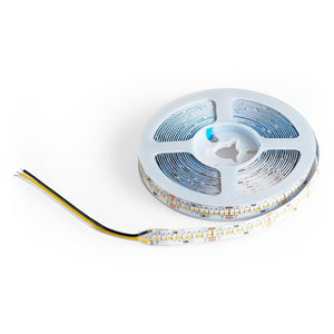 Tira LED SMD2216 - CCT - 24V DC - 30W/m - 10mm - IP20 - 5 metros (1)