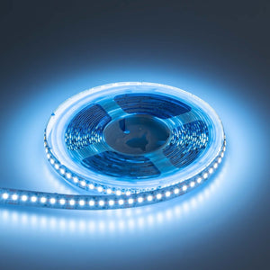 Tira LED SMD2216 - CCT - 24V DC - 30W/m - 10mm - IP20 - 5 metros (5)