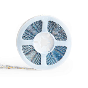 Tira LED SMD2216 - CCT - 24V DC - 30W/m - 10mm - IP20 - 5 metros