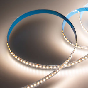 Tira LED SMD2216 - CCT - 24V DC - 30W/m - 10mm - IP20 - 5 metros (7)