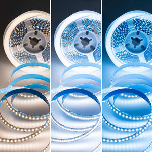 Tira LED SMD2216 - CCT - 24V DC - 30W/m - 10mm - IP20 - 5 metros (2)