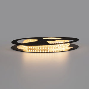 Tira LED 220V AC - Monocolor - 8W/m - 10mm - IP65 - 10 metros - 120ch/m (30)