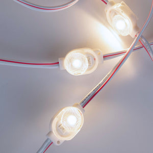 Módulo LED monocolor para rótulos - 0.5W - 12V DC - IP66 - 170º (9)