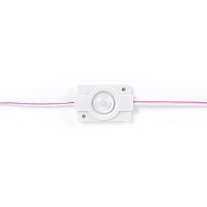 Módulos LED monocolor para rótulos - 1,5W - 12V - IP65 - 160º (12)