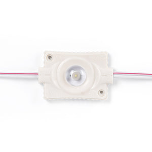 Módulos LED monocolor para rótulos - 3W - 12V - IP65 - 160º