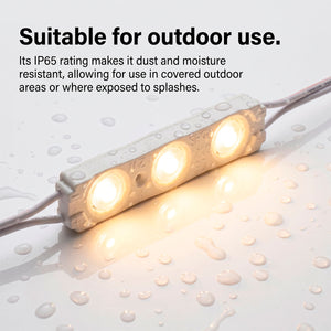 Módulo LED monocolor para rótulos - 1.2W - 12V - 160° - IP65 (1)