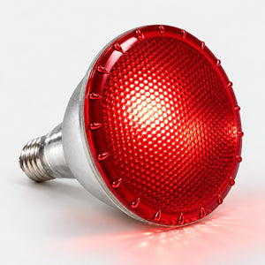 Bombilla LED de colores - PAR38 E27 - 12W - 60° (20)