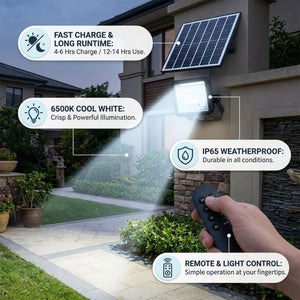 Proyector solar con panel y mando a distancia - 40W - 6500K - IP65 (4)