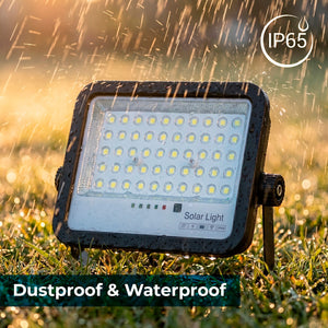 Proyector solar con panel y mando a distancia - 100W - Medium - 6500K - IP65 (4)
