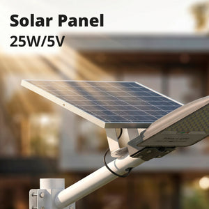 Farola solar con panel y mando a distancia - 200W - 6500K - IP65 (6)