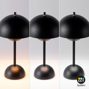 Lámpara de mesa LED CCT portátil - Táctil - Ø160 mm (28)