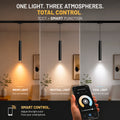 LED pendant spotlight for magnetic track - 10W - 26mm - CCT + SMART FUNCTION 5