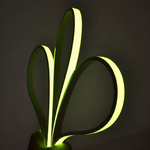 Flexible RGB LED neon 24V DC - 5x11mm - 5 meters - Complete kit - 11W/m - 120 LED/m - IP67 - Vertical curvature