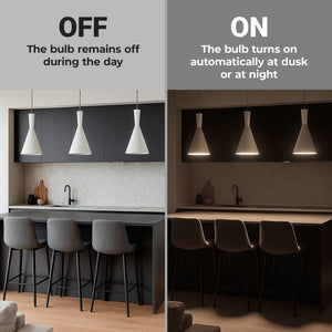 Bombilla LED con sensor crepuscular - E27 A60 - 8,8W (6)