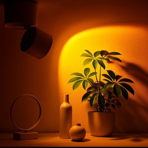 Aplique de pared y techo "FLOC" - 8W - Efecto atardecer - 1800K - Barcelona Led-Decoración