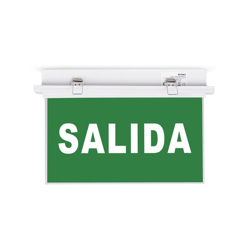 Recessed permanent emergency light with