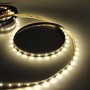 Tira LED 5m, 12V-DC, SMD 3528, 24W, IP20 Tira LED 5m, 12V-DC, SMD 3528, 24W, IP20