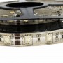 Tira LED a 12V 72W IP64 RGB Tira LED a 12V 72W IP64 RGB