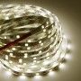 Tira LED 5M, 12V-DC, 72W, IP20, SMD 5050, Monocolor Tira LED 5M, 12V-DC, 72W, IP20, SMD 5050, Monocolor