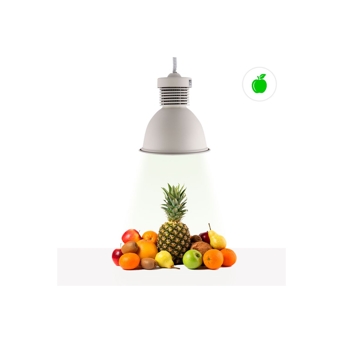 Lampara Campana LED 30W especial para fruterías y verdulerías