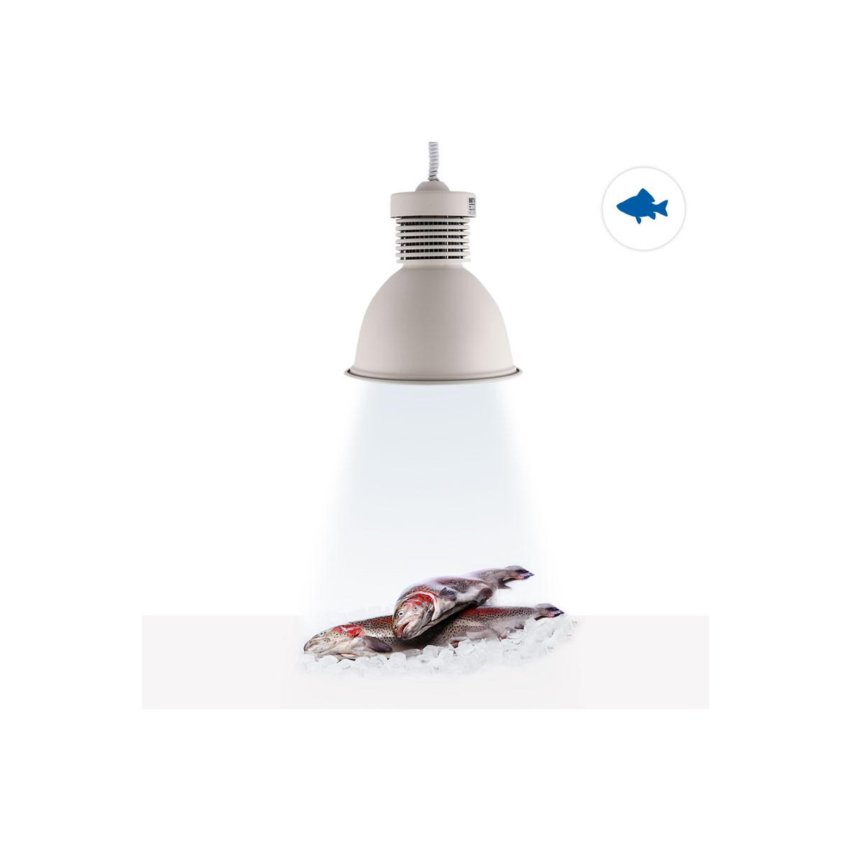 Lampara Campana LED 30W especial para Pescaderías