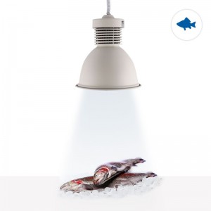 Lampara Campana LED 30W especial para Pescaderías