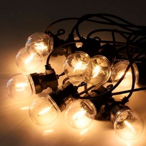 Guirnalda  luminosa LED 10 bombillas integradas - 8 metros
