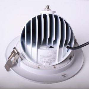 Downlight LED circular c basculante