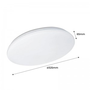 Plafón de techo LED BASIC 24W de superficie circular IP20