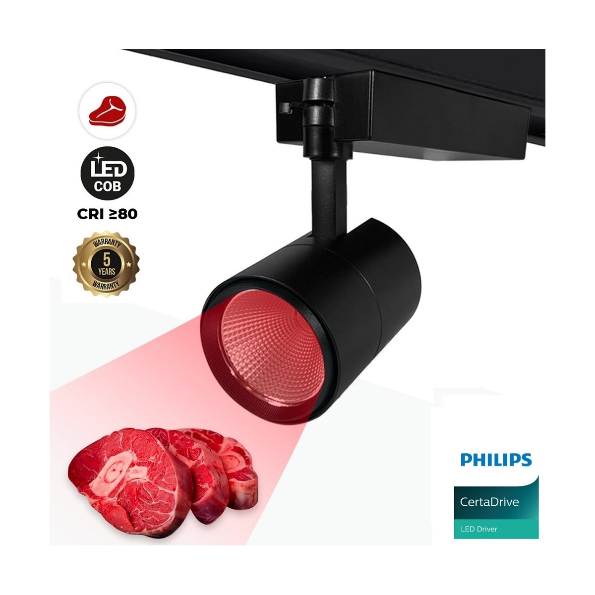Red de luces LED para uso profesional Sistema IP20, 500 LED, 300 x 300 cm, sin  cable