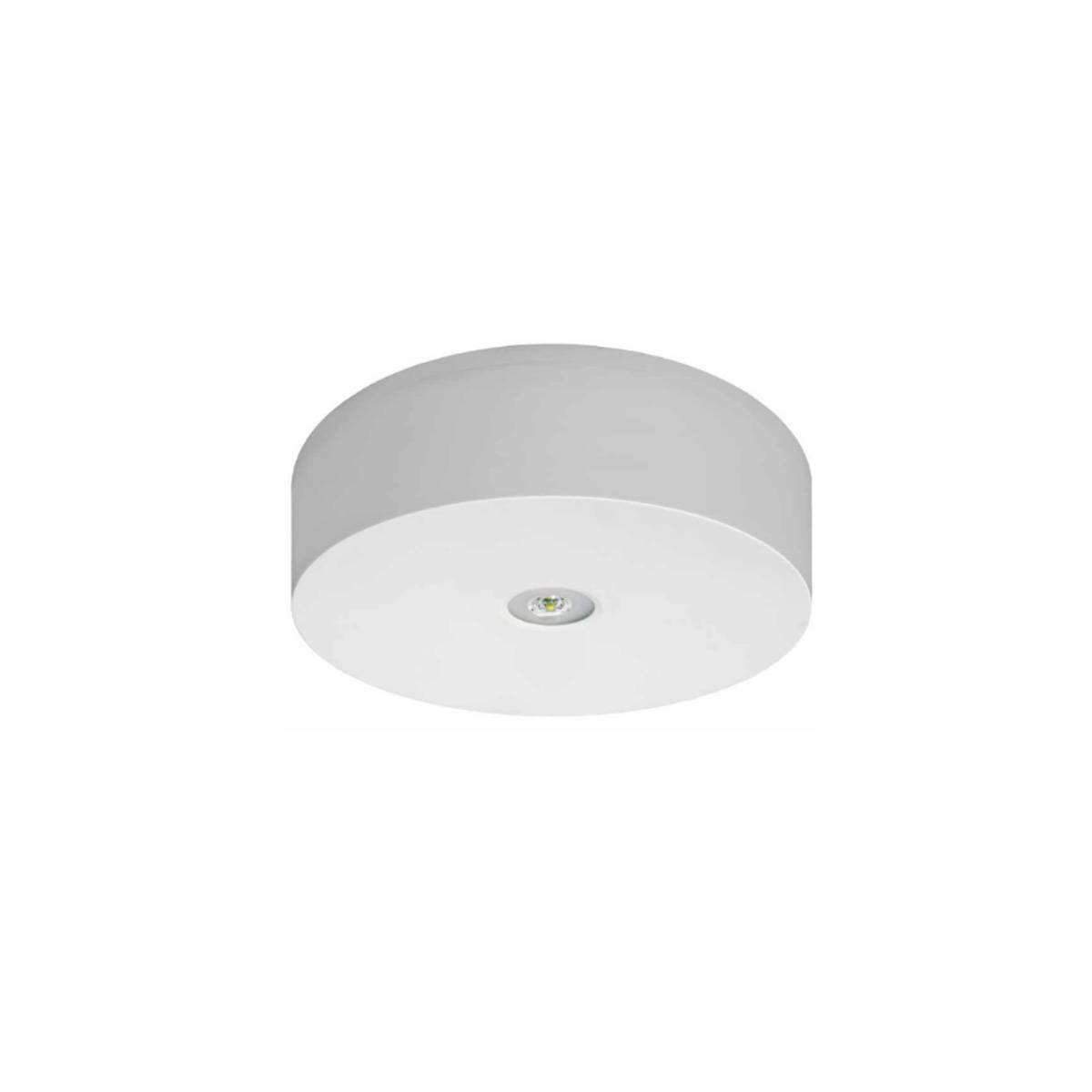 Luminaria Emergencia de Superficie AX N 120 lumens IP42
