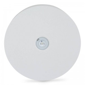 Luminaria Emergencia de Superficie AX N 120 lumens IP42