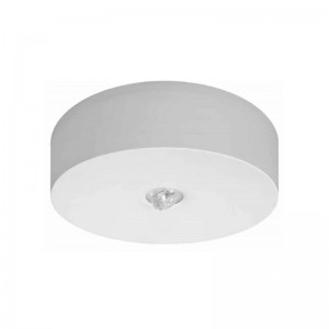 Luminaria Emergencia de Superficie AX N 120 lumens IP42