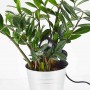 ESTACA DE JARDÍN IP44 COLOR NEGRO PARA DICROICA LED GU10 ESTACA DE JARDÍN IP44 COLOR NEGRO PARA DICROICA LED GU10