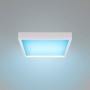 Panel "Blue Skylight" efecto cielo - Daylight - Regulable 0-10V - 155W - 60x60cm